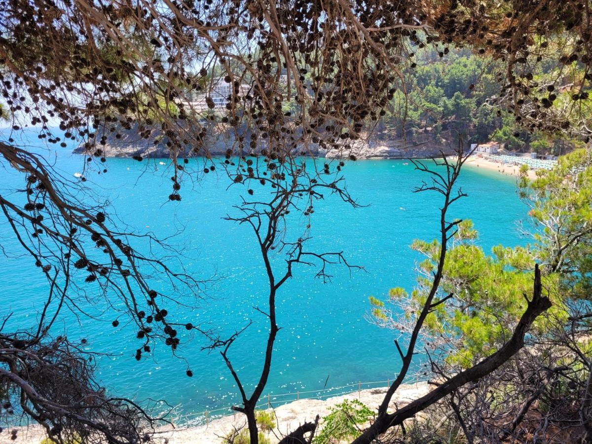 Villetta Roberto Le Macine Di Charme - Pugnochiuso Resort Vieste Zewnętrze zdjęcie