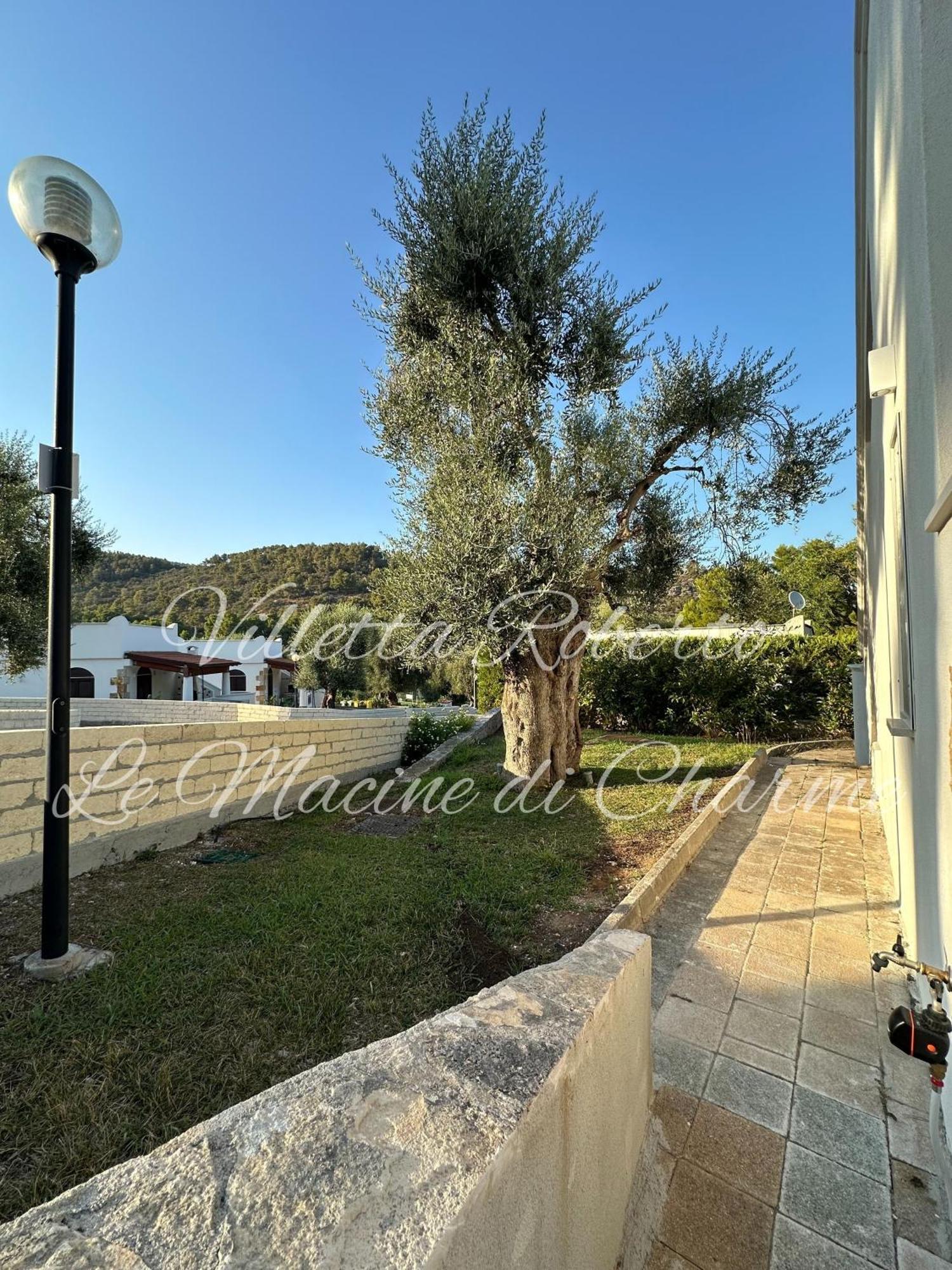 Villetta Roberto Le Macine Di Charme - Pugnochiuso Resort Vieste Zewnętrze zdjęcie
