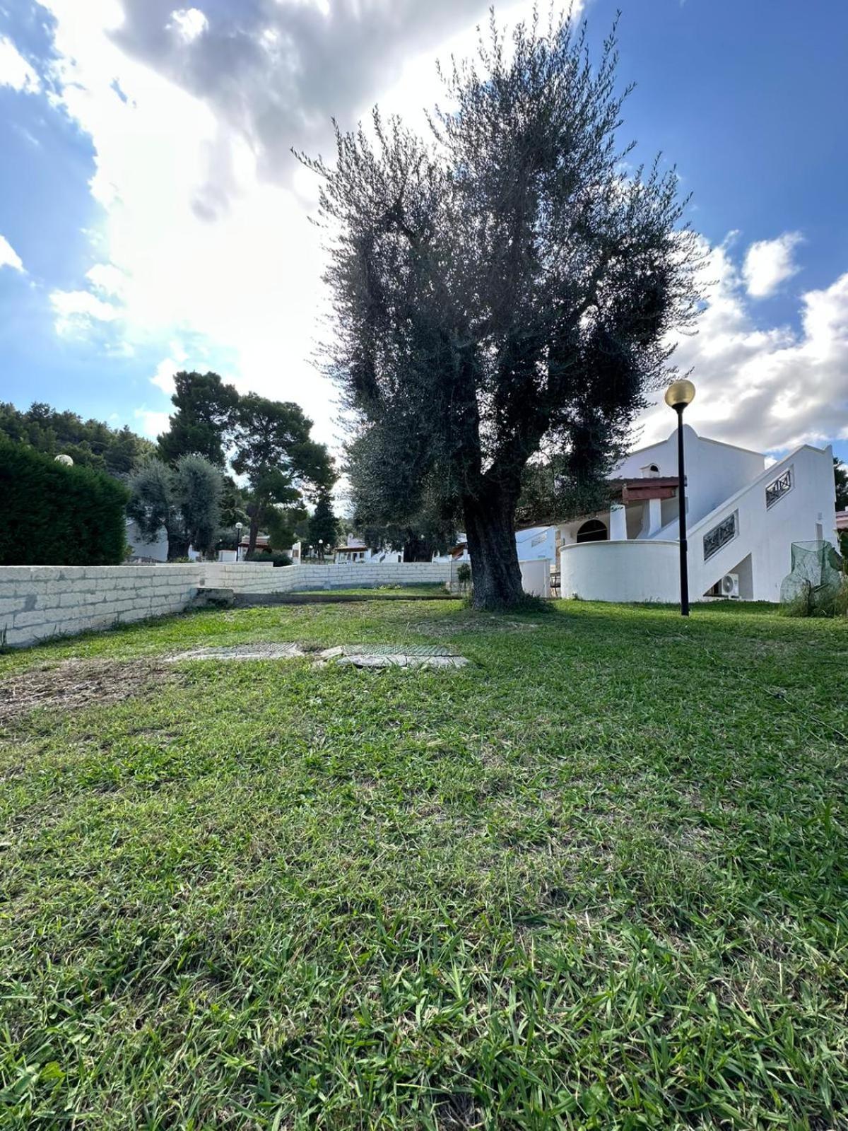 Villetta Roberto Le Macine Di Charme - Pugnochiuso Resort Vieste Zewnętrze zdjęcie