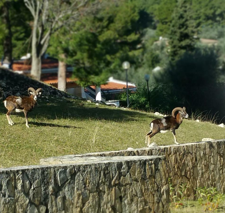 Villetta Roberto Le Macine Di Charme - Pugnochiuso Resort Vieste Zewnętrze zdjęcie